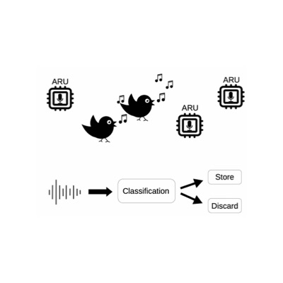 TinyChirp
